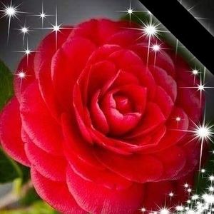 Meet your Posher, Ilario